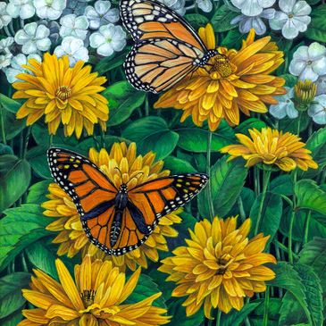 Two monarch butterflies on vibrant yellow flowers surrounded by white blossoms and green leaves.