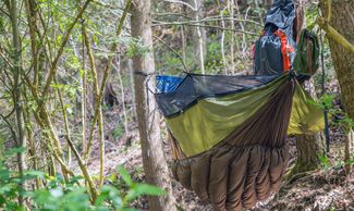 Camping hammock suspended between trees in a forest setting.