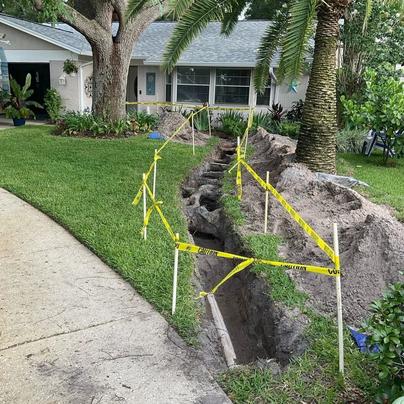 Roots affecting sewer lateral line