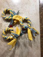 Yellow and gray performance q awards for toy aussies