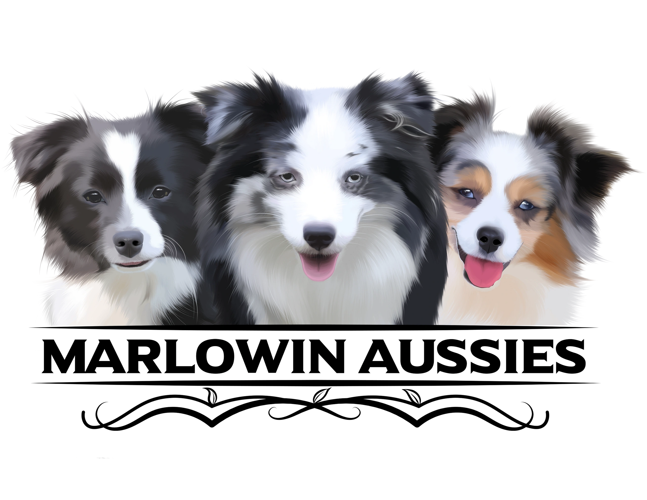 MarLoWin Aussies and Miniature American Shepherds Logo
