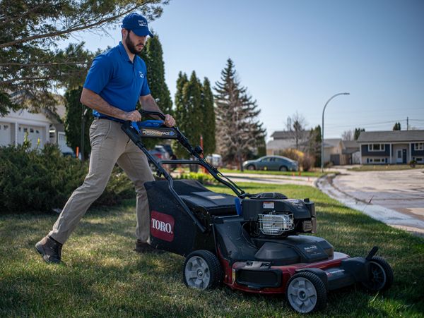 Lawn care service in Winnipeg. Services include spring and fall cleanup, aeration, and lawn cutting.