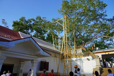 Sri Maha Bodhi the most respected site in Anuradhapura.