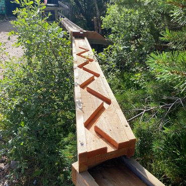 Multiple Obstacle Options