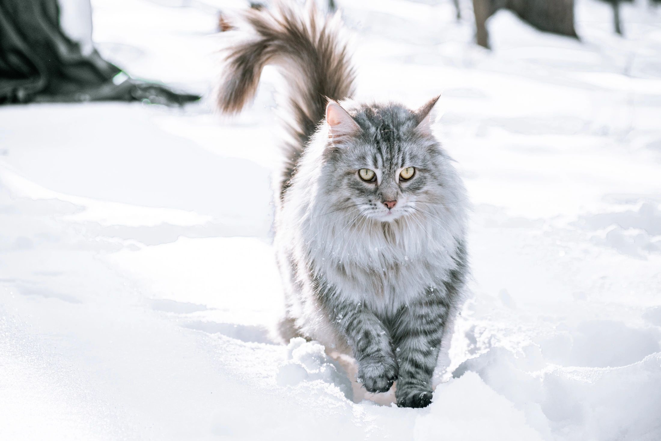 Home, image size:2200x1467