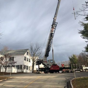 Crane set up for tree removal