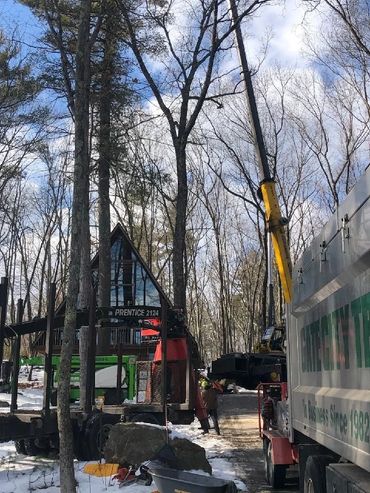 Mobile crane providing large tree removal