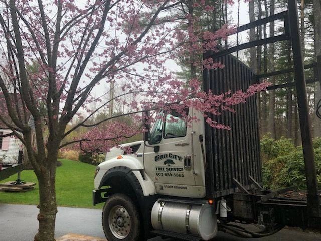 Gate City Tree Service log truck in Southern New Hampshire