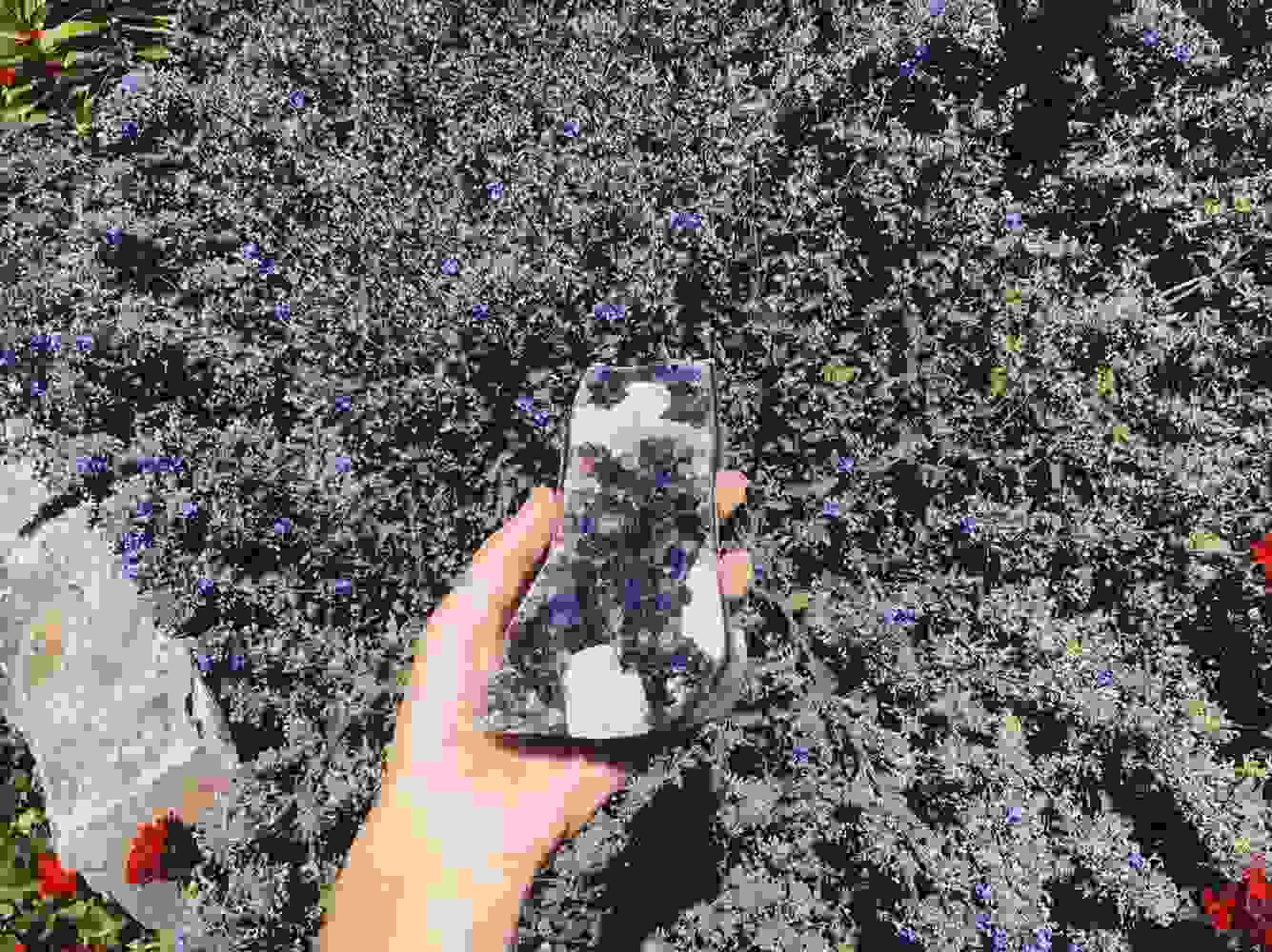 image557