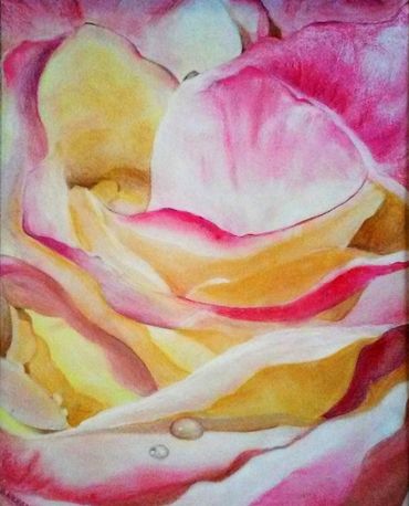 "Yellow Magenta Rose" Pastel on paper