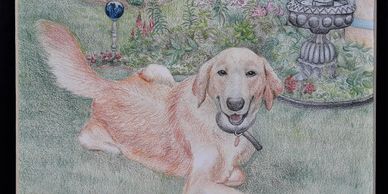 Colored Pencil drawings of your favorite pet can be commissioned!