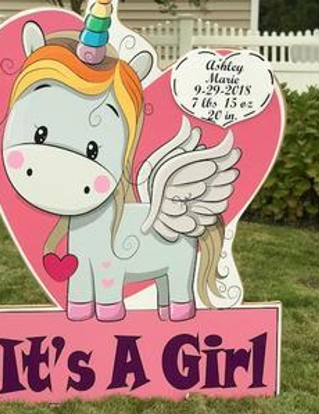 baby announcement  lawn sign