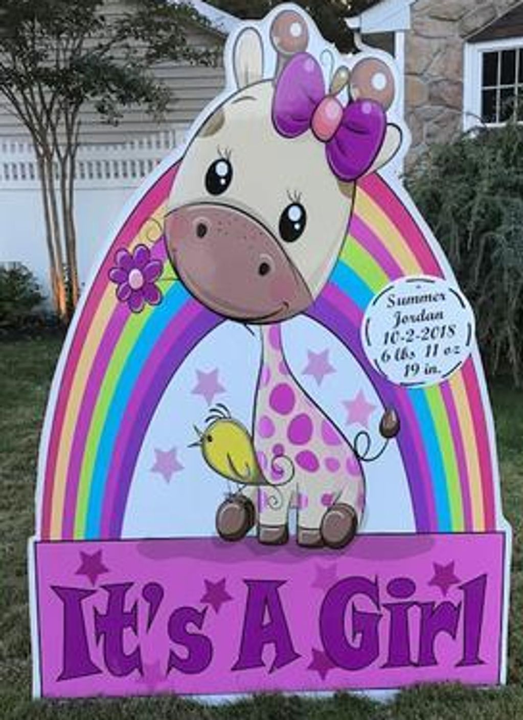 baby announcement  lawn sign