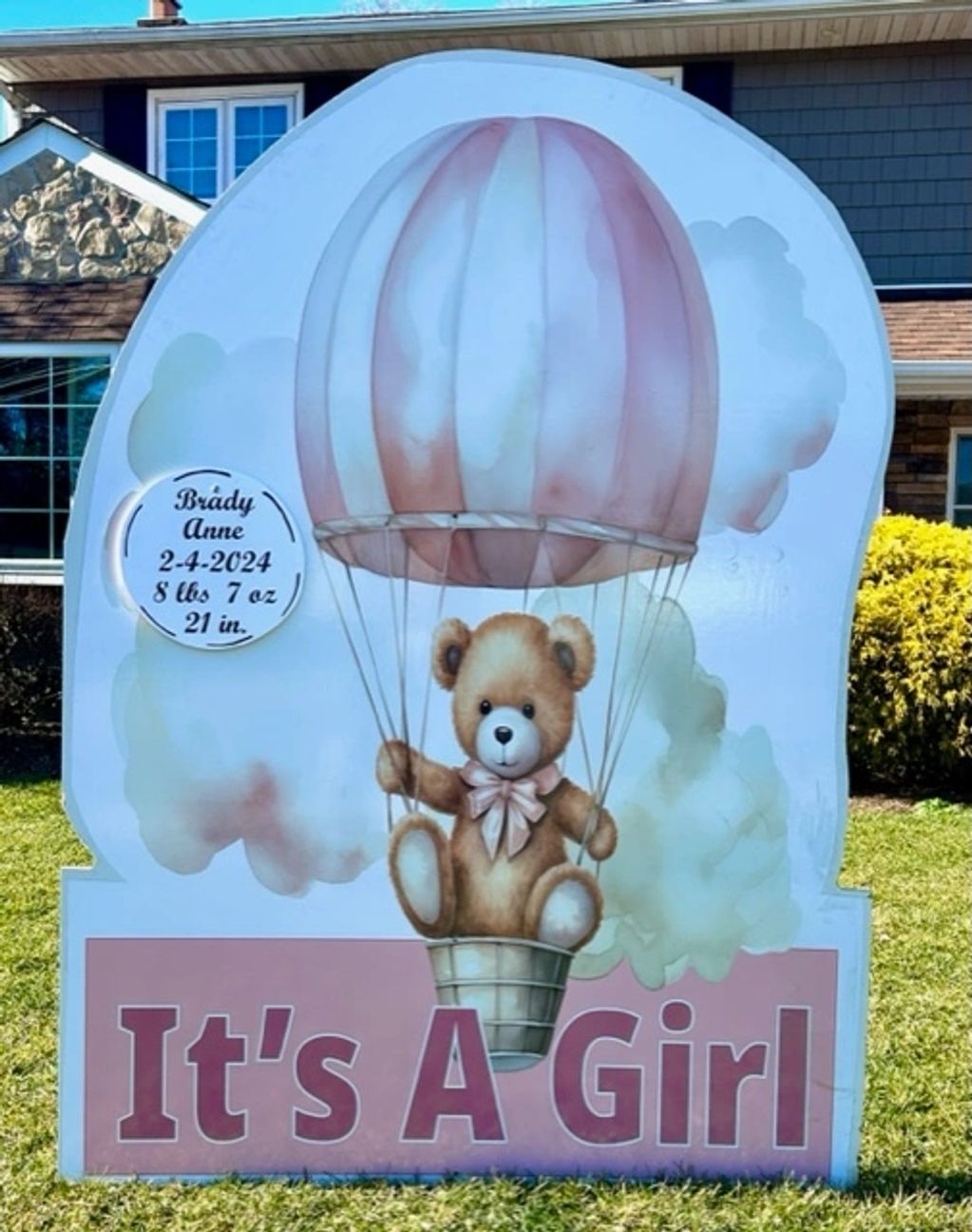 baby announcement  lawn sign