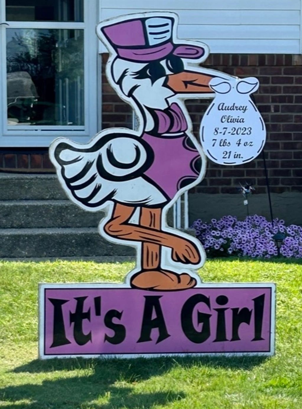 Baby stork sign