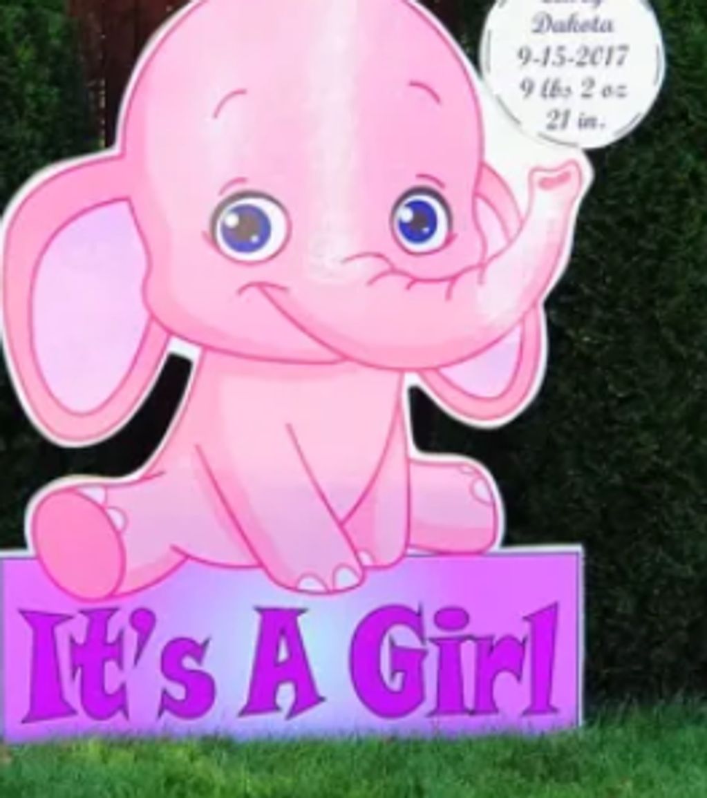Baby lawn sign