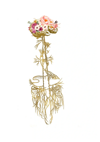 De Nervus Vagus reset Wassenaar