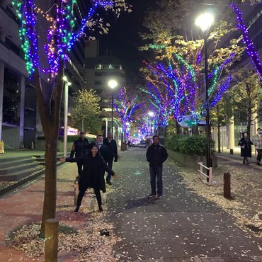 Winter Wonderland Display