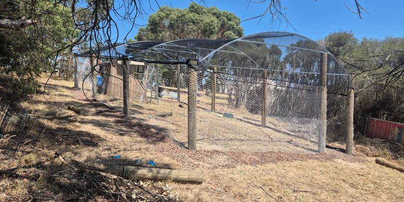A enclosure we built for chickens and a few fruit trees