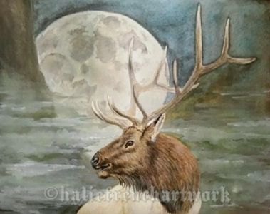 A watercolor painted by Halie French of an elk in front of a cloudy moon.