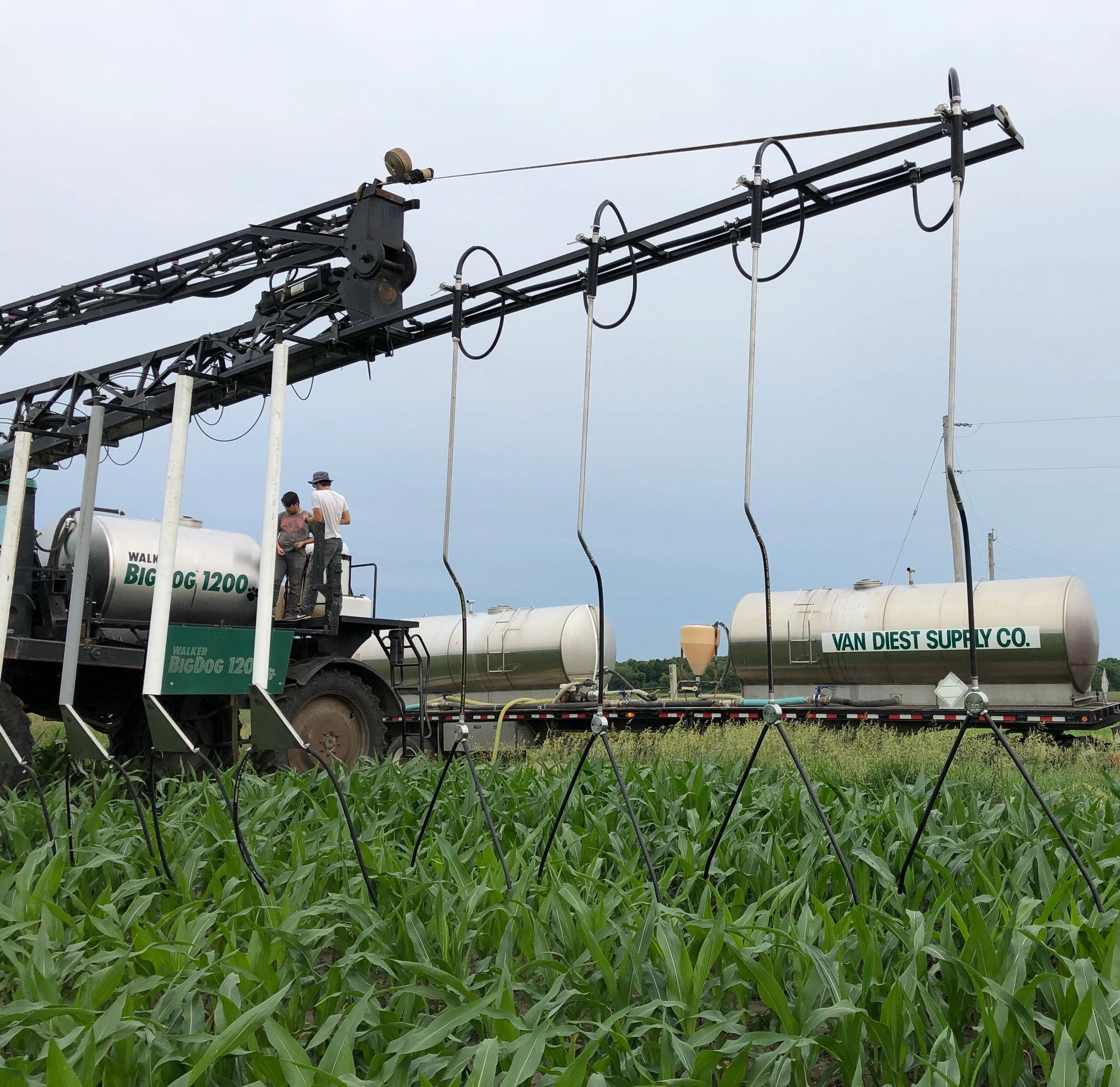 "I would say they are the best late season N drop to buy on the market by far" Brian Young