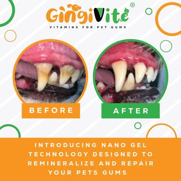 dog teeth cleaning gel, dog dental gel, dog bad breath remedy, dog gum health support, Gingivite