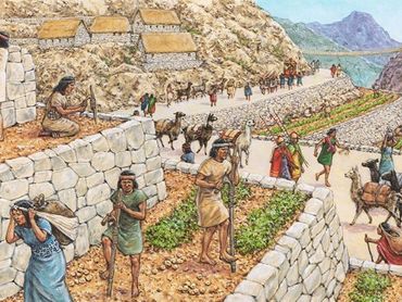 Incas farming, Adam Hook artist and illustrator
