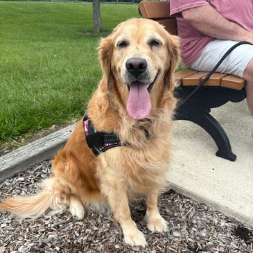 Dog pet cremation Perrysburg Oregon millbury rossford Genoa lake township clay township