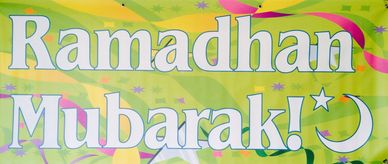 30" x 72" Banner with Grommets (easy for hanging)
US $35.00