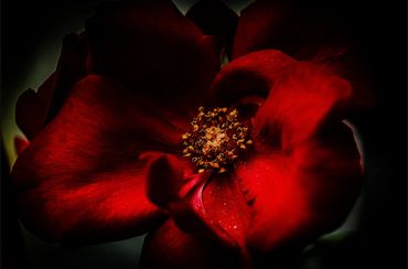 © Nathaniel Andrade