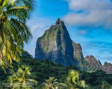 © Clayton Stockdall