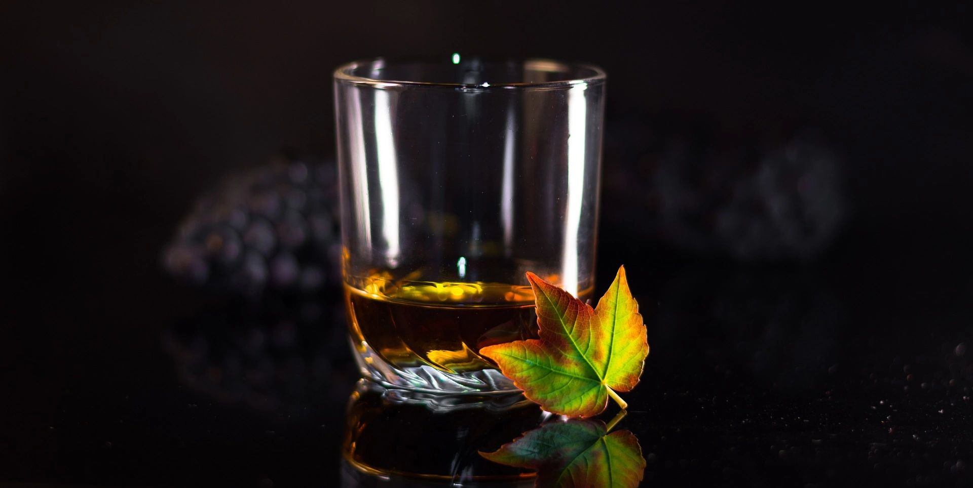 Whiskey glass with a leaf leaning on it.