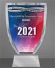 A glass trophy featuring Hirschfeld & Associates