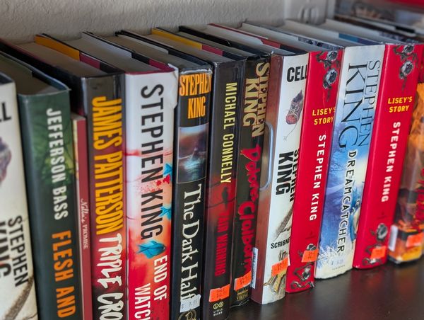 Example selection of books by Stephen King and others
