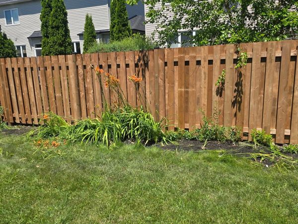A backyard with a wooden fence and flowering plants along the edge.