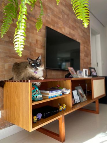 Jucá e Você, clientes, Rack Amora