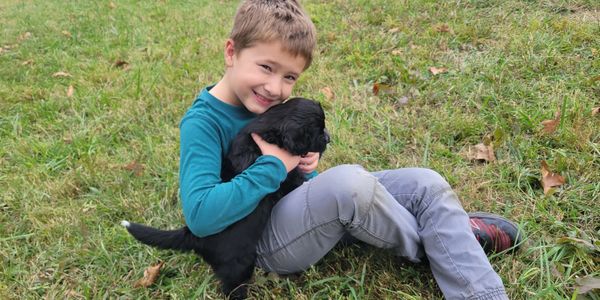 Autumn Branch Farm Portuguese Water Dogs breeder puppies for sale doodle