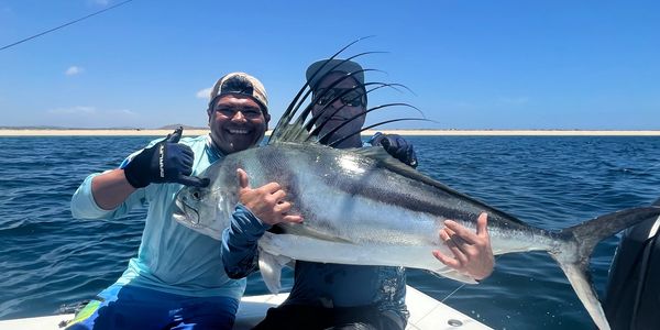 Roosterfish, the house special