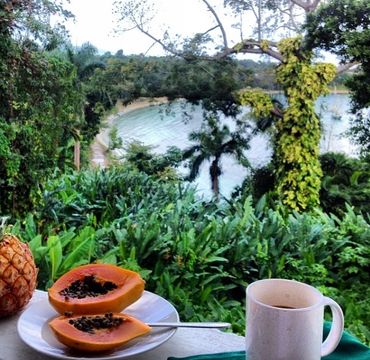 Strawberry Hill: St. Andrew, Jamaica