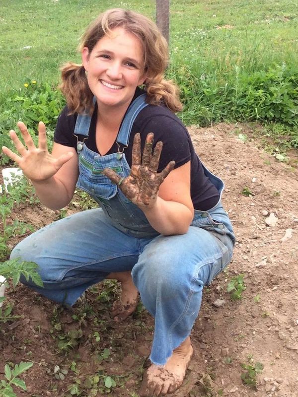 Suzy transplanting tomatoes