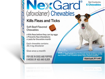 Tick and flea control
Dogs health