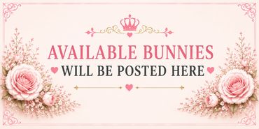 Elegant sign announcing available bunnies will be posted here.