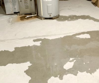 Water damage inspection related to an insurance claim in Brevard County, Florida