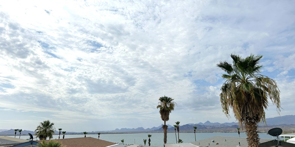 Cloudy sky over a lakeside with palm trees.