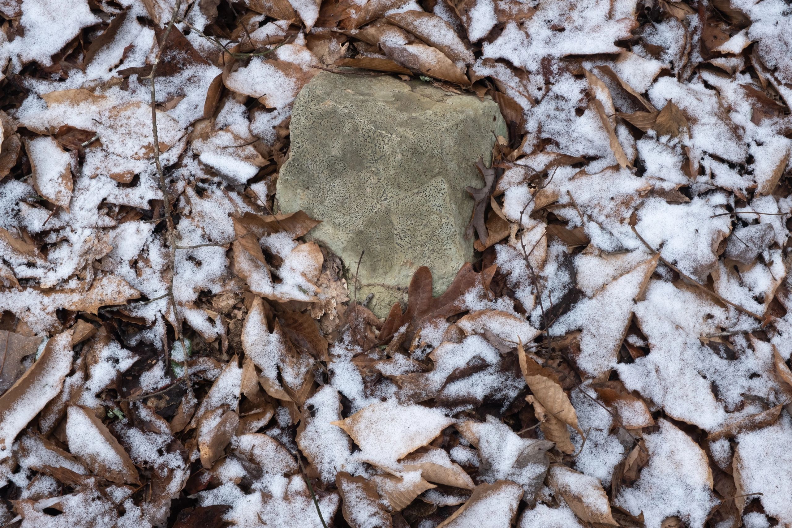 Rock in Light Snow, Bolin Creek, Chapel Hill, NC, 24" x 36"