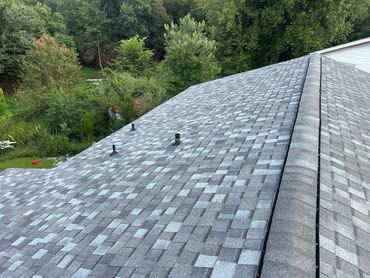 A gray shingled roof with vents and lush greenery in the background.