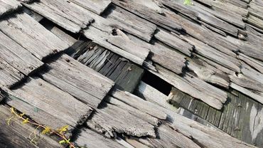 Close-up of an old, weathered wooden roof with some missing shingles and a vine growing.