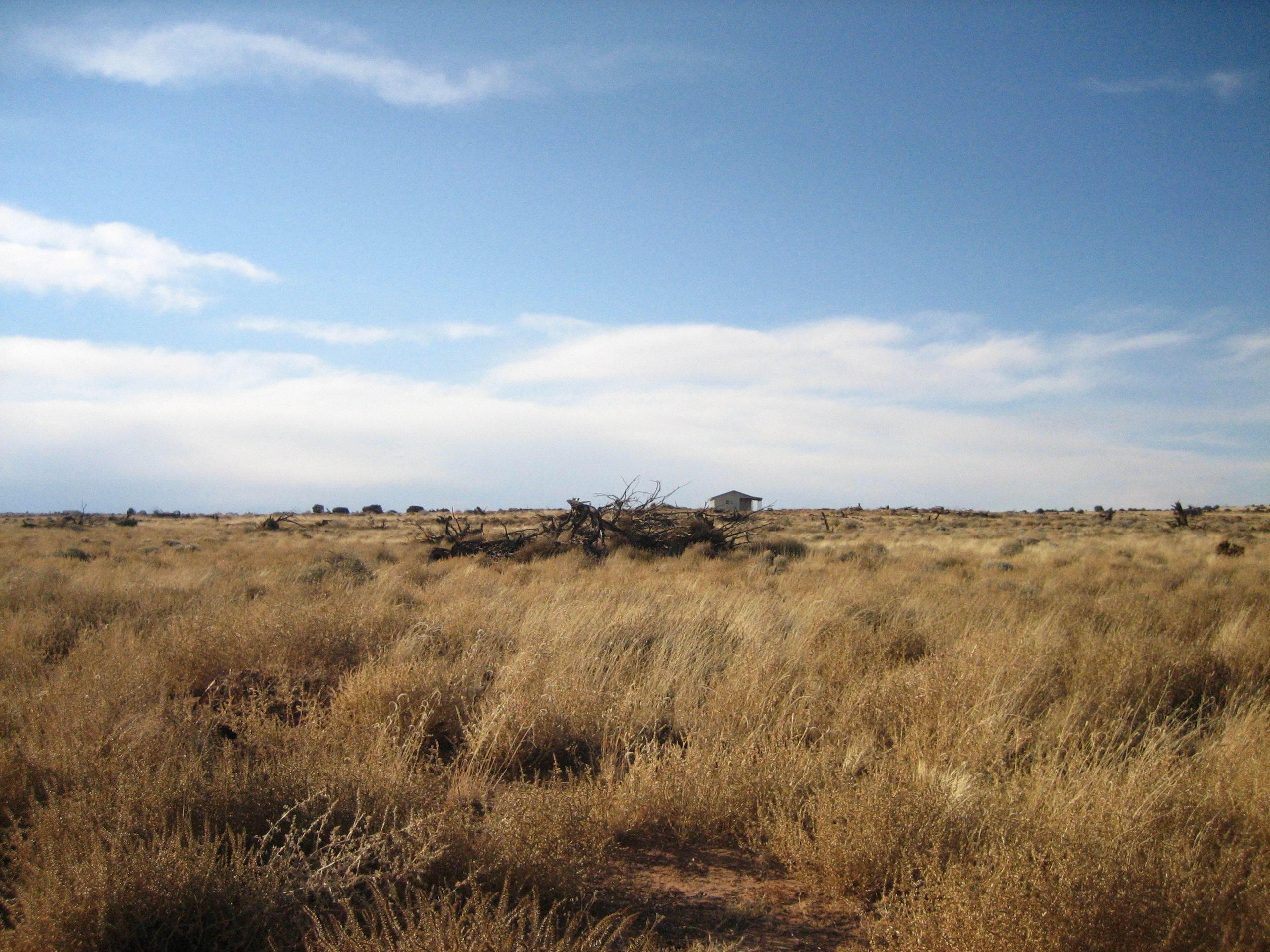 Desolate landscape.JPG