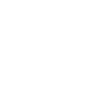 SFA Seguridad y Protección Ltda.