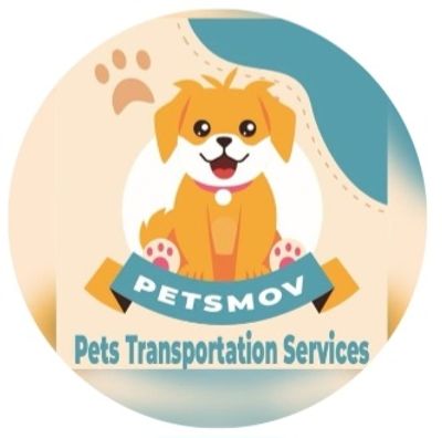 Pet Transportation